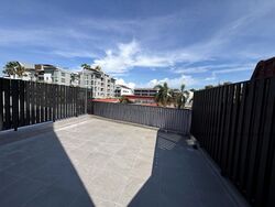 Lorong H Telok Kurau (D15), Terrace #479998301